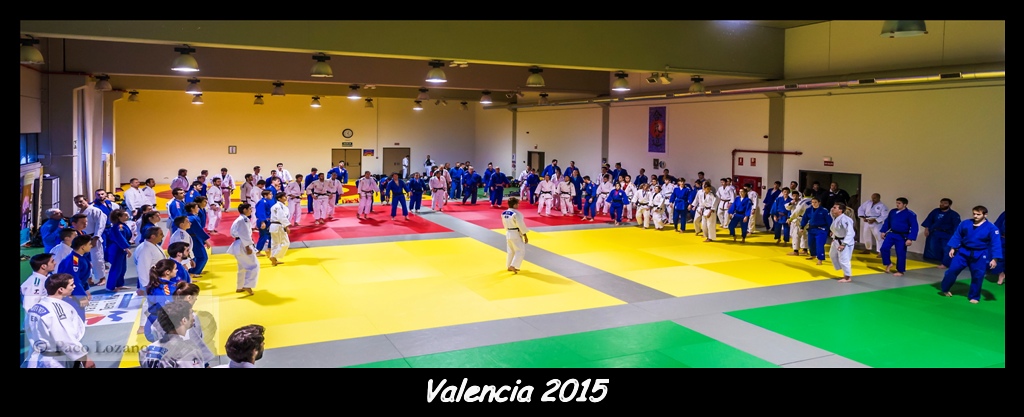 Valencia 2015 ╕ Paco Lozano-8107