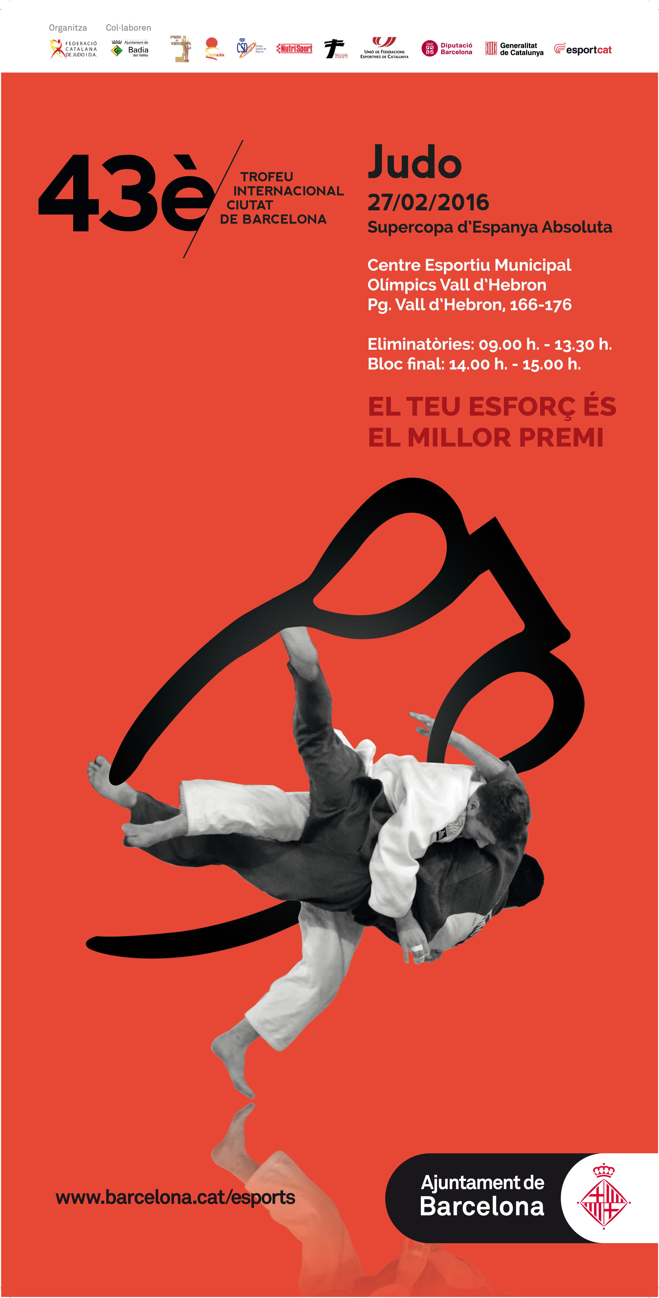 Judo_poster_AAFF