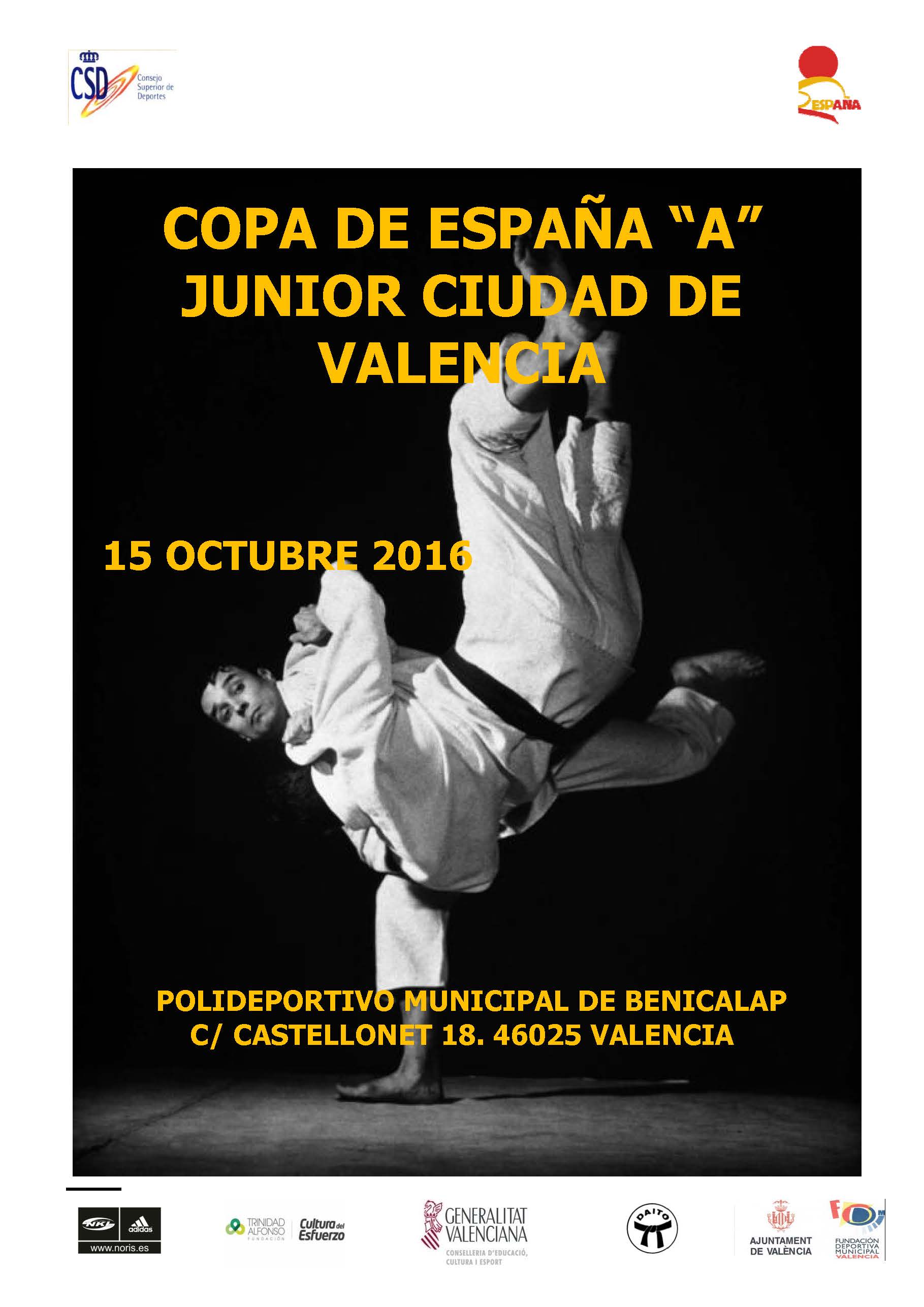 CIRCULAR COPA DE ESPAÑA JUNIOR A 2016