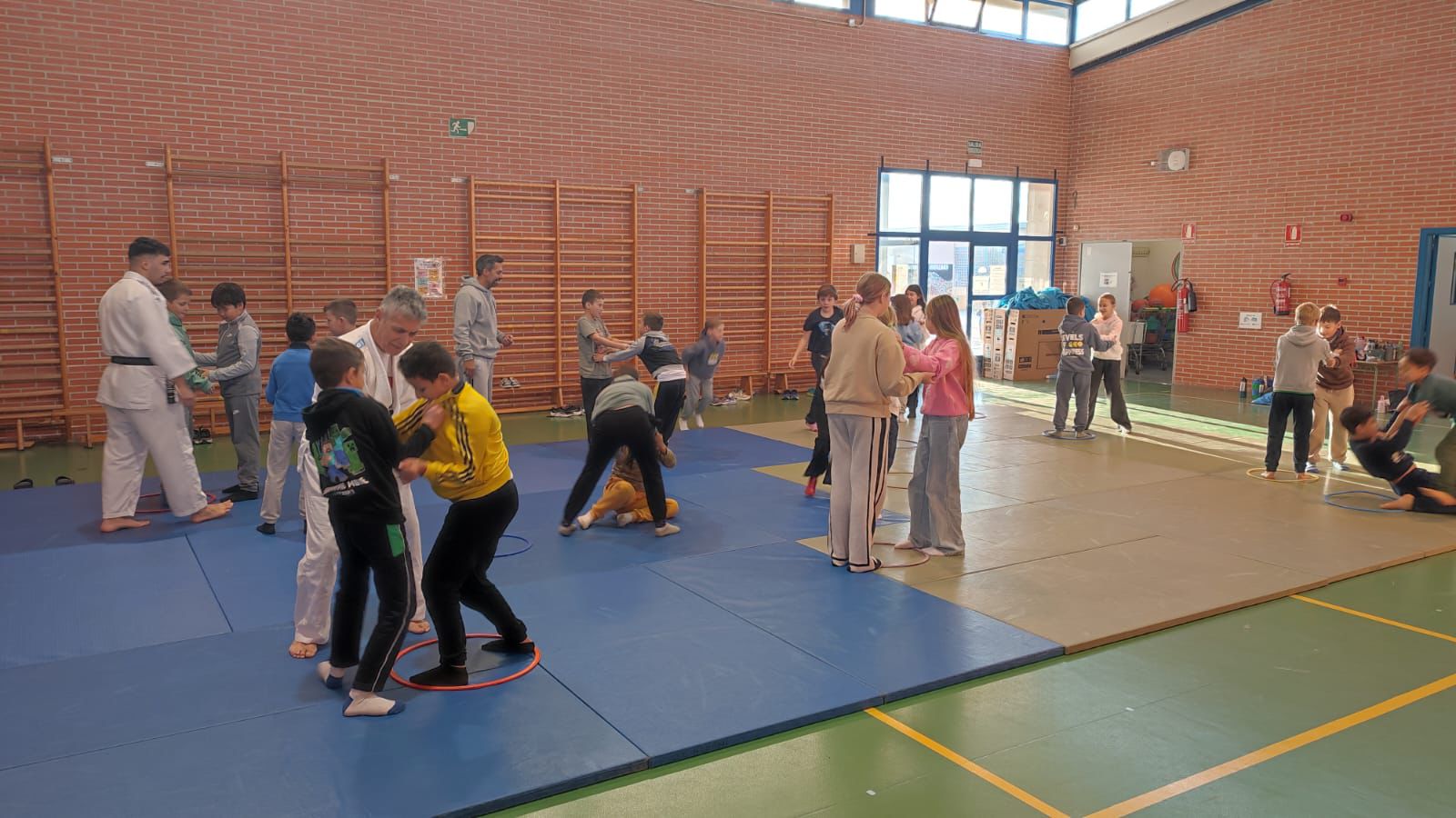 WhatsApp Image 2026-01-19 at 11.50.54